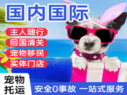 成吉思汗航空邮寄国际宠物托运 【国